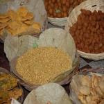 Vraj-Yatra-2014- (847)